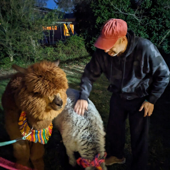 Gabriel Homes resident petting an alpaca.