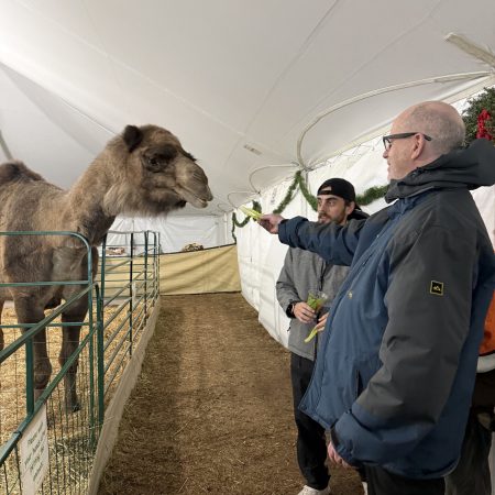 2025.12.12 Bull Run Festival Of Lights35