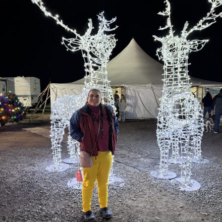 2025.12.12 Bull Run Festival Of Lights4